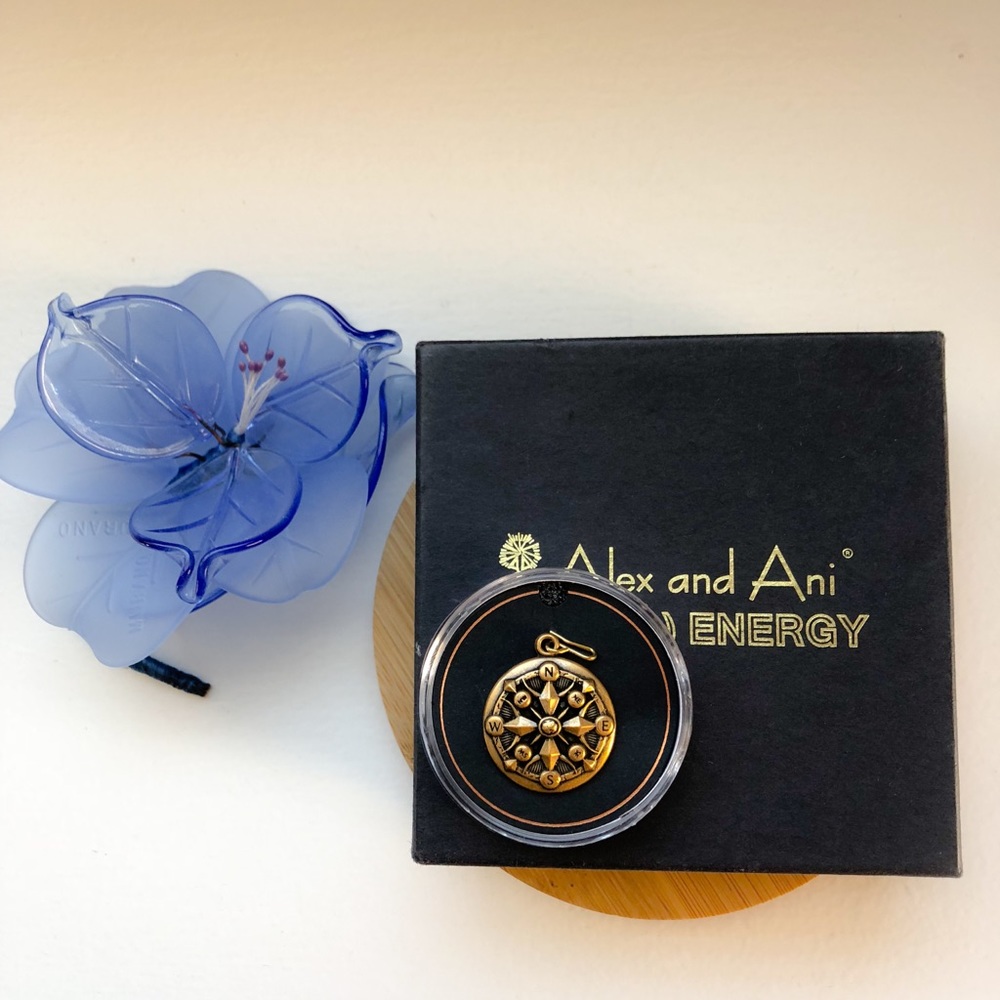 Alex and Ani Compass Charm